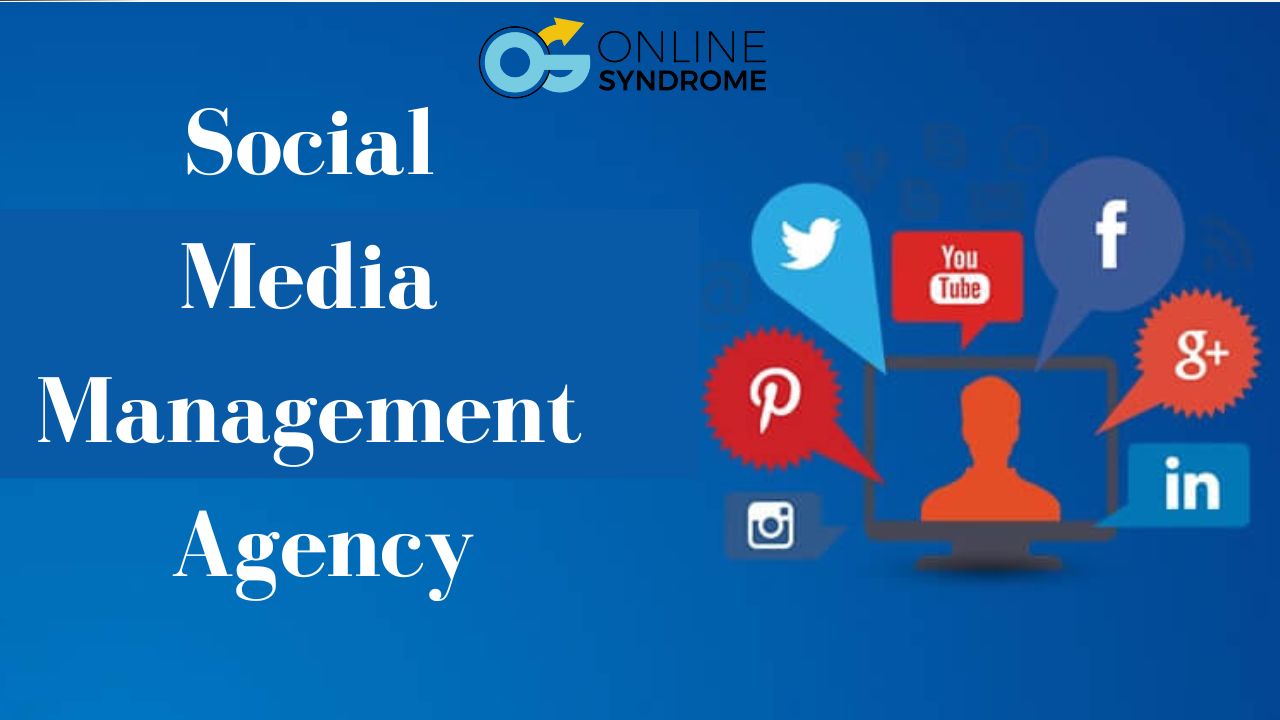 Best Social Media Management Agency in Delhi/NCR