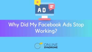 Facebook ads audit consultation with OnlineSyndrome in Delhi